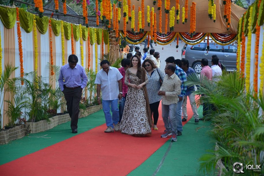 Bengal-Tiger-Movie-Opening